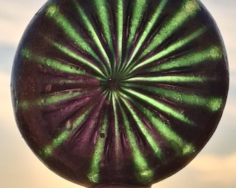 Giant Jade Green Onion Round Seaglass – Radial Pattern Art Piece