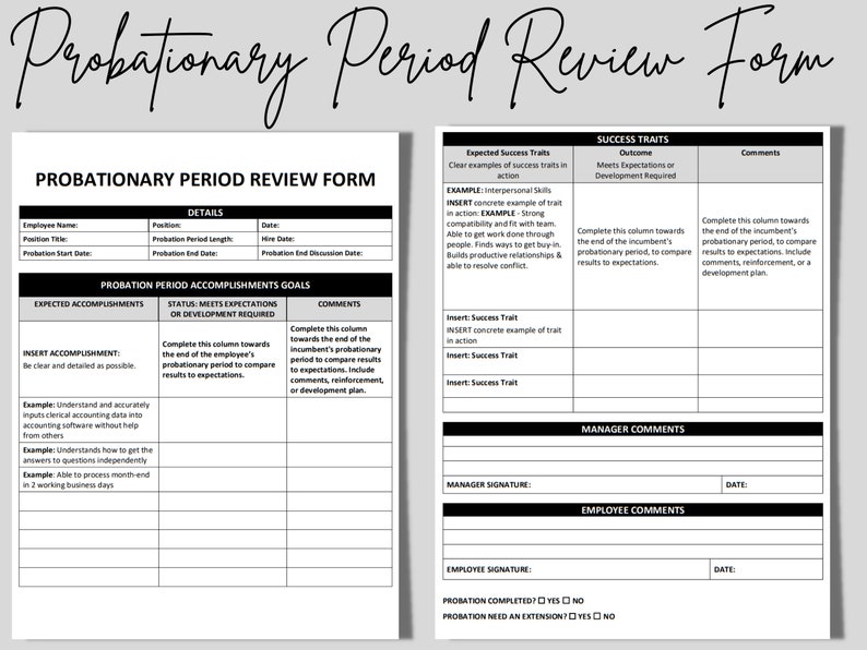 Probation Period 90day Review Editable Word Template Etsy