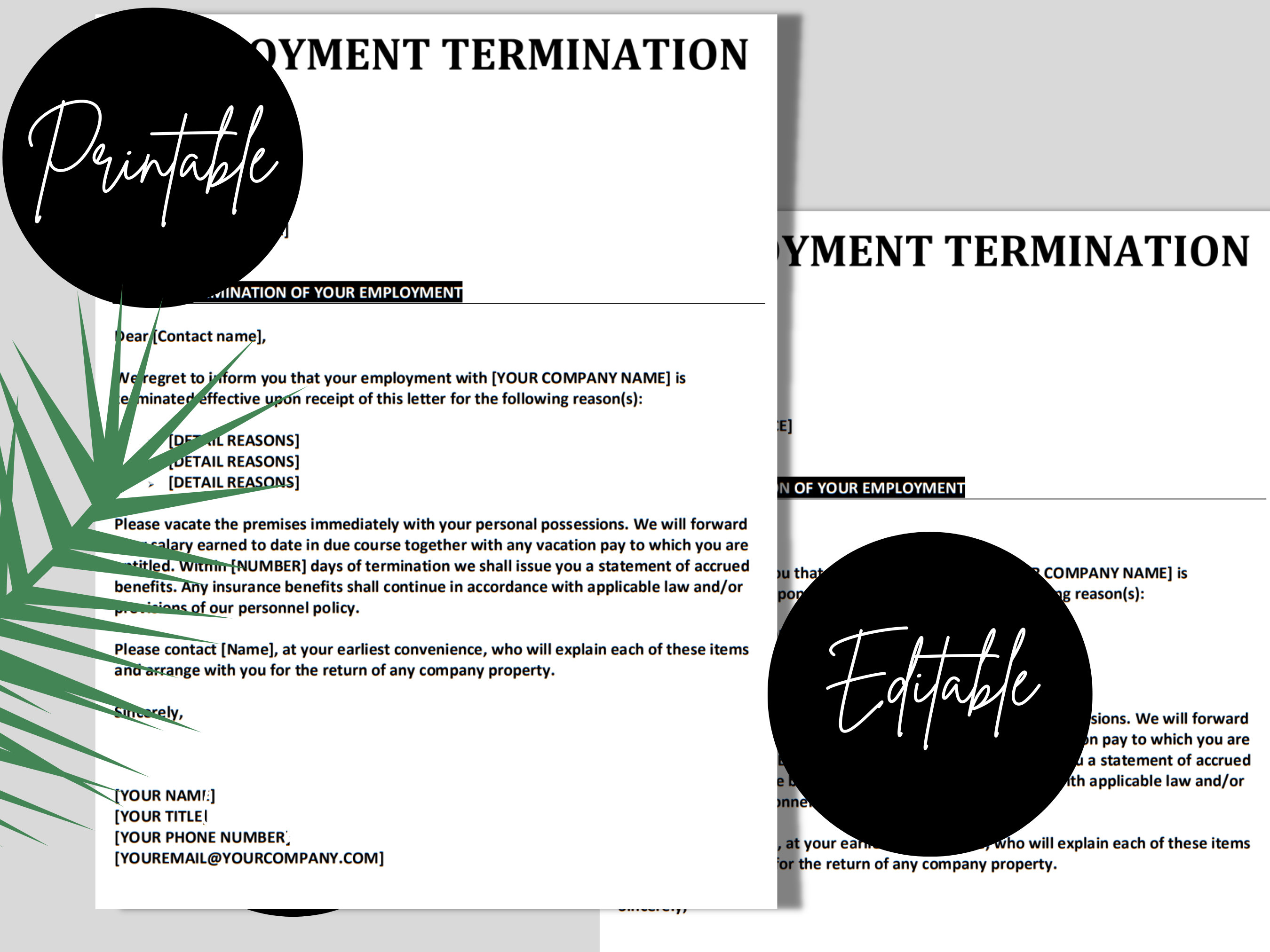 Termination Letter Template Human Resources Employee Termination