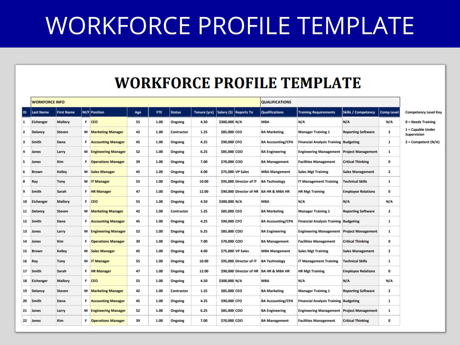 Workforce Profile Template: Excel HR Spreadsheet for Talent Gap ...
