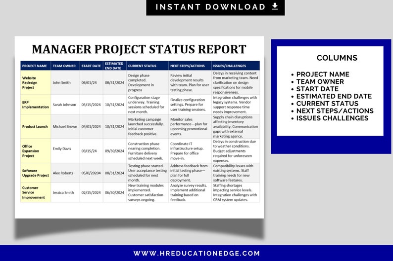 Manager Project Status Report: Excel, Word, Google Docs (digital ...