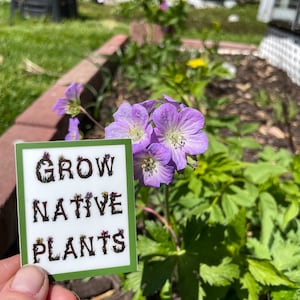 Grow Native Plants Sticker