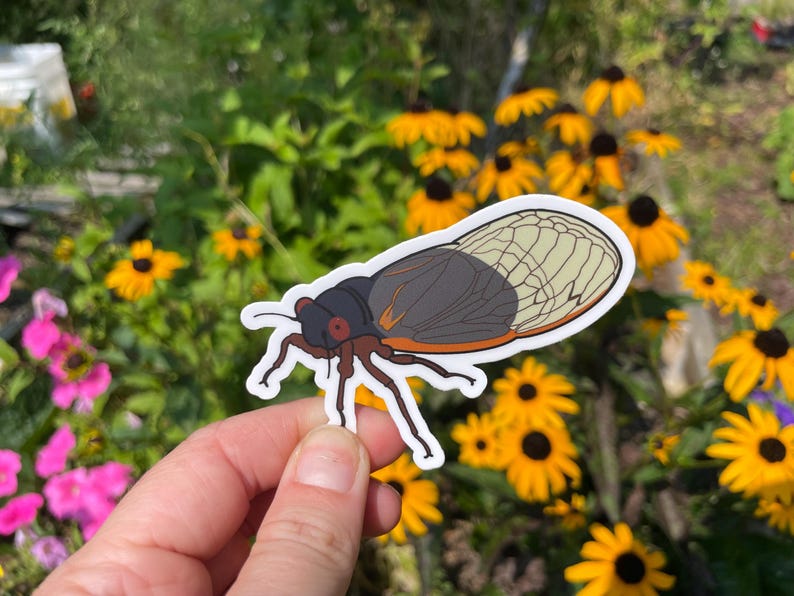 Insect Sticker Set - Etsy