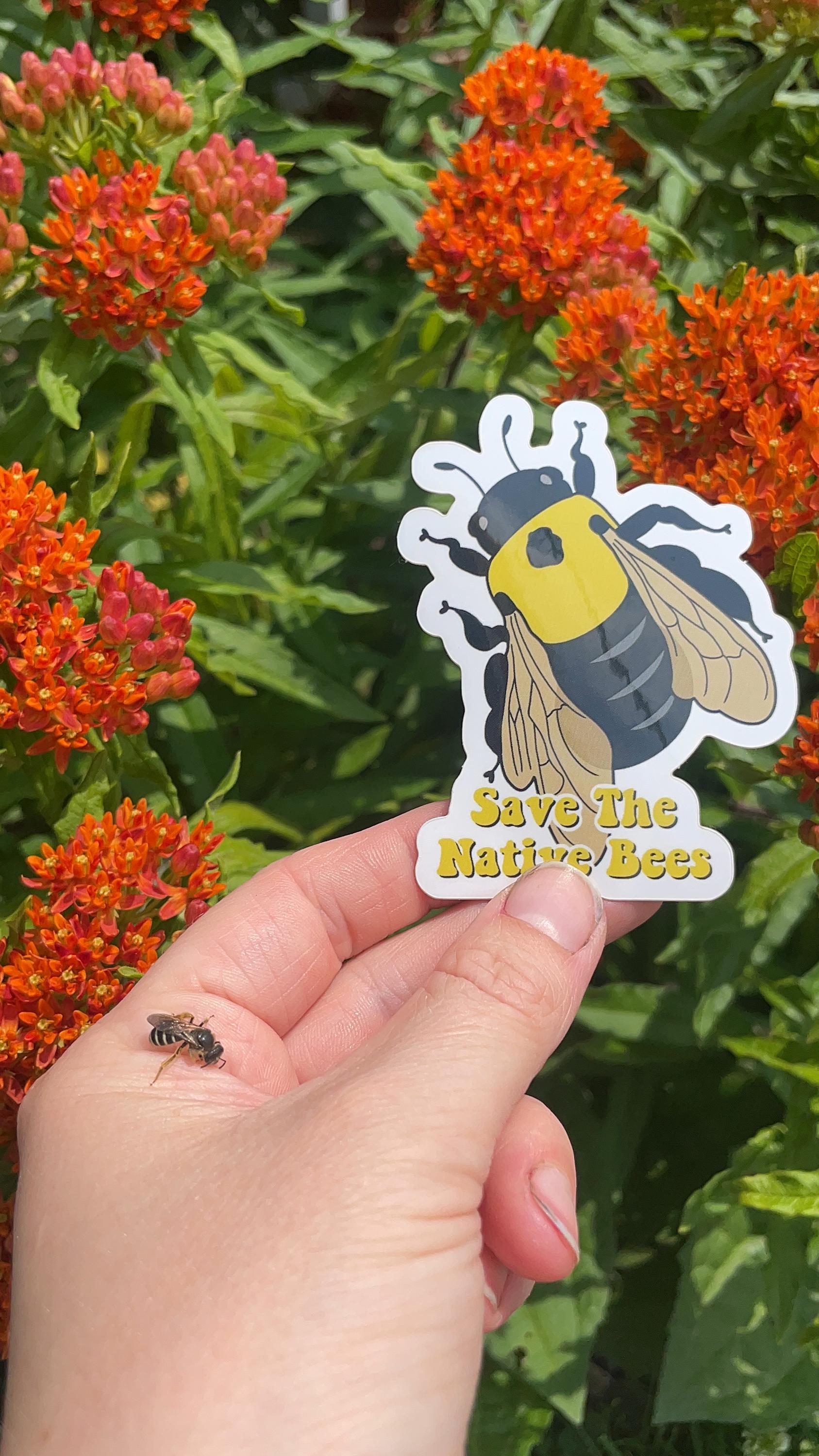 Insect Sticker Set - Etsy