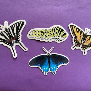 May include: Four colorful butterfly and caterpillar stickers on a purple background. The stickers include a black and white striped butterfly, a yellow and black caterpillar, a yellow and black butterfly, and a blue butterfly.