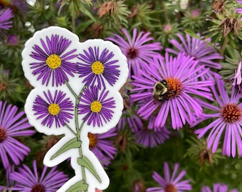 New England Aster Wildflower Sticker