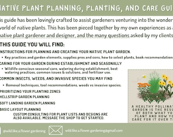 Native Plant Garden Planning Guide for Beginners