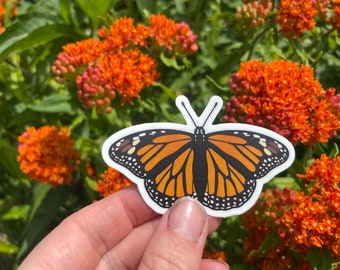 Monarch Butterfly Sticker Set