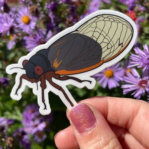 Cicada Sticker