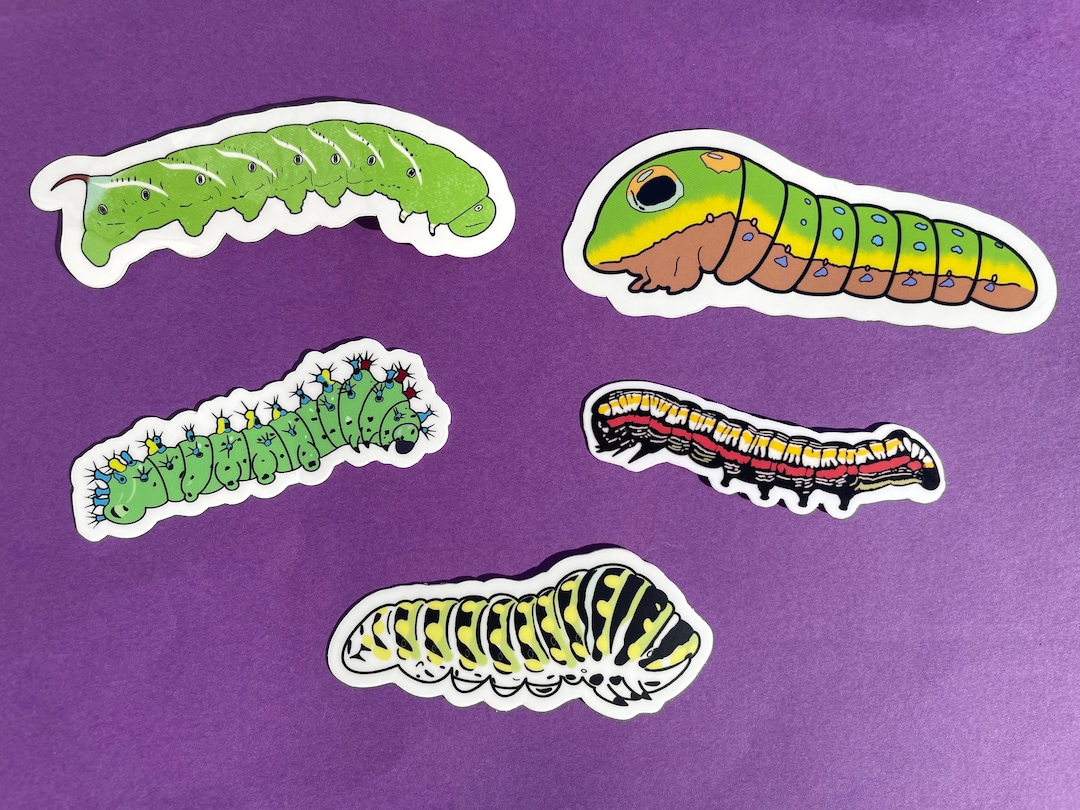 Caterpillar Sticker Set Etsy
