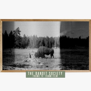 Frame TV kunst - Yellowstone Buffalo - 35mm
