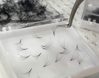 Camellia 6D-Premade Loose Fans Eyelashes Extensions 500 fans/ box