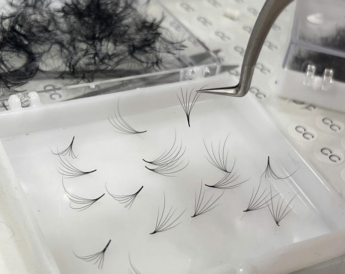 Camellia 6D-Premade Loose Fans Eyelashes Extensions 500 fans/ box