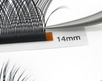YY LASH TRAY / W lashes