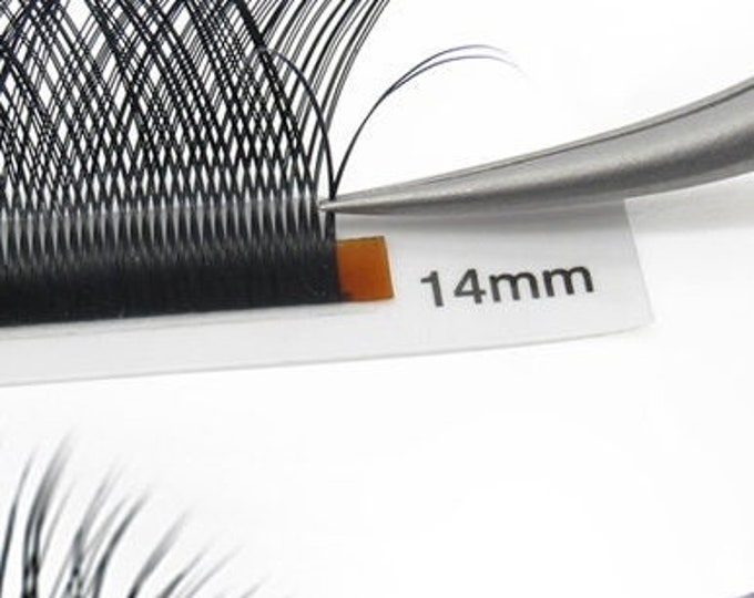 YY LASH TRAY / W lashes