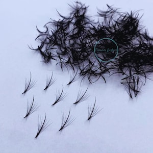 Wispy 7D Premade eyelash extensions fans