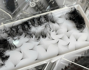 14D 0.03 Promade fans (1000 fans)