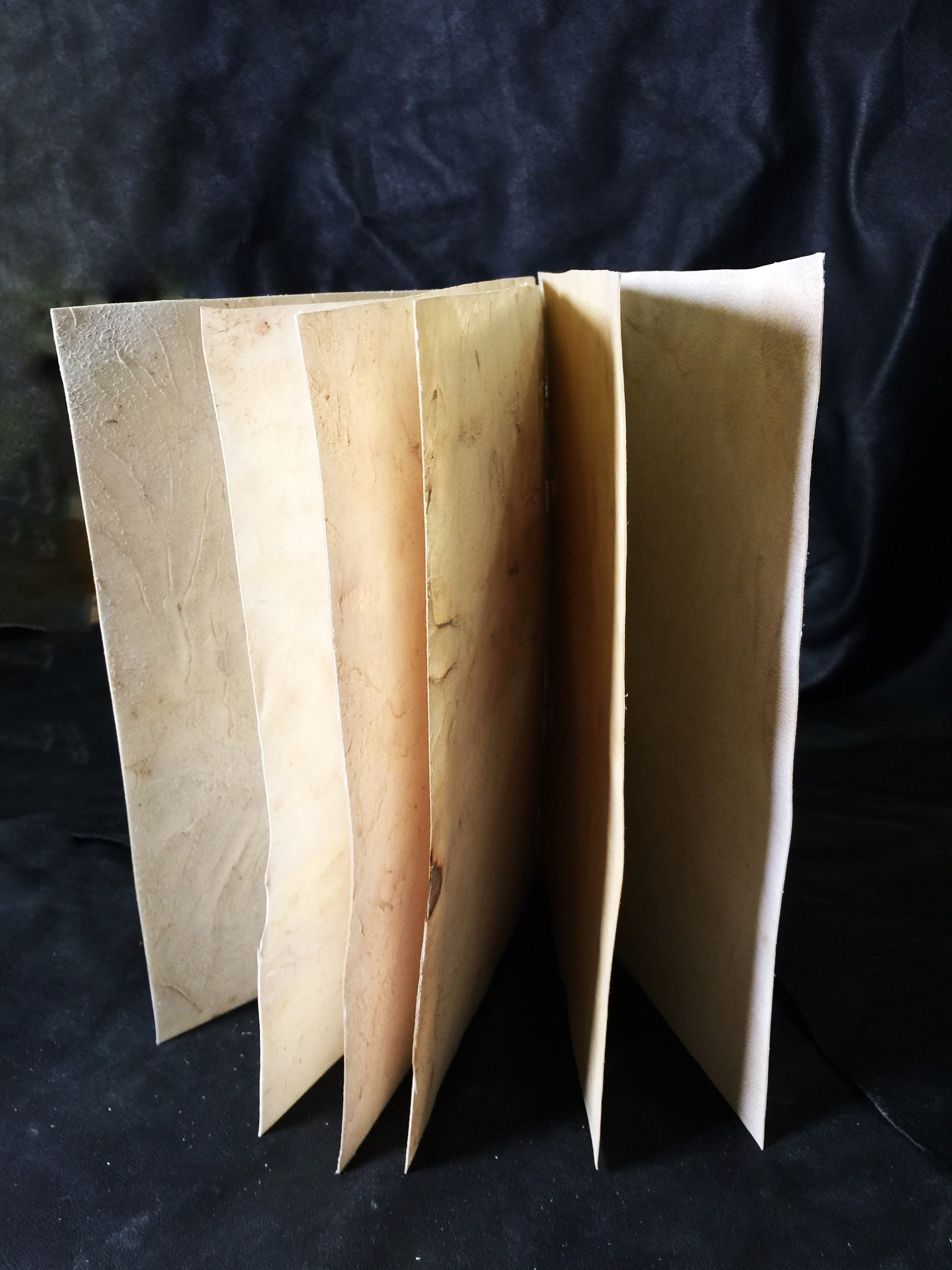 Vellum Notebook Antique Paper Handmade Notebook Goat Etsy