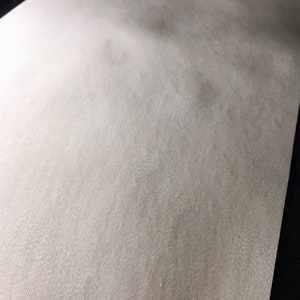 May include: A close-up of a plain white sheet of paper with a slightly textured surface.