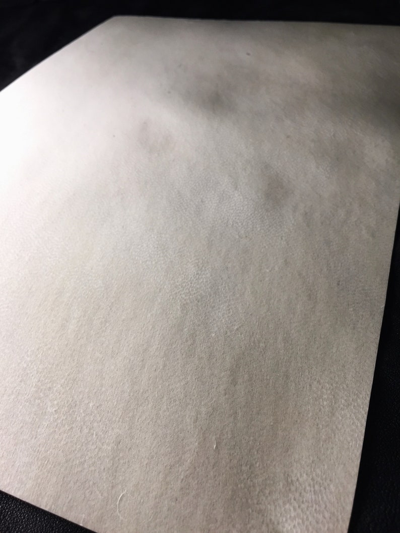 May include: A close-up of a plain white sheet of paper with a slightly textured surface.