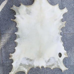 Pergamena di pelle di capra naturale - Vellum fatto a mano - Vera Pergamena - Pergamena di pelli di capra e agnello - Vera pergamena di colore antico