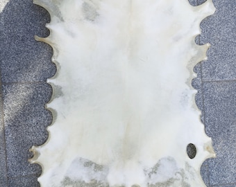 Natural Goatskin Parchment  - Handmade Vellum - Real Parchment - Goat & Lamb Skins Parchment - Antique Color Real Parchment