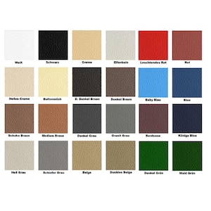 Furniture Clinic - LEDER FARBE - in 24 verschiedenen Standard Farben - um Leder aller Art zu Färben wie Ledermöbel, Handtaschen, Schuhe etc