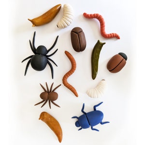 A set of 12 fondant bugs cake or cupcake toppers. Edible bugs/worms/beetles/spiders/slugs