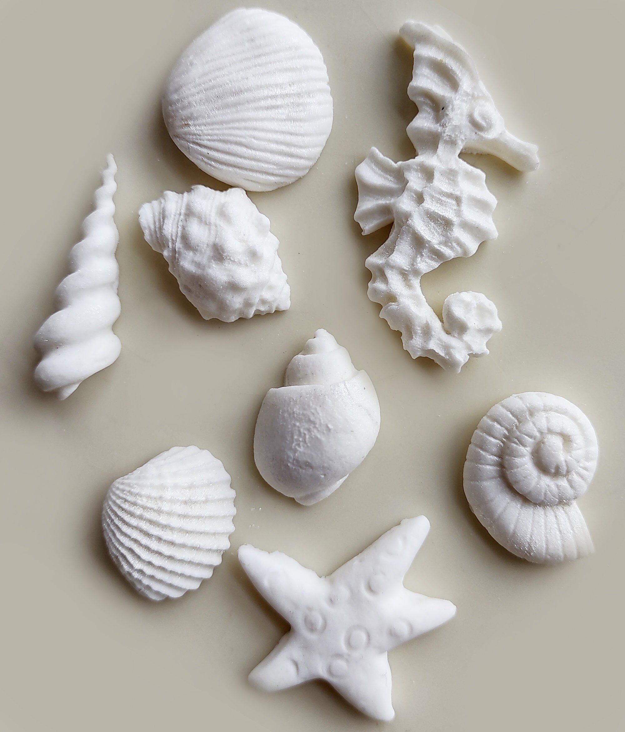Fondant Decorations - White Seashells – Studio Cakes