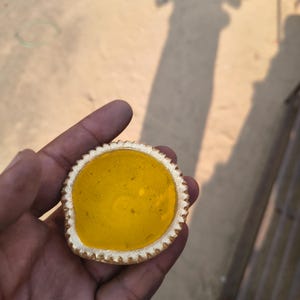 May include: A small, round, yellow diya oil lamp with a decorative, scalloped edge. The lamp is held in a hand, with the background out of focus. The lamp is a bright yellow color.