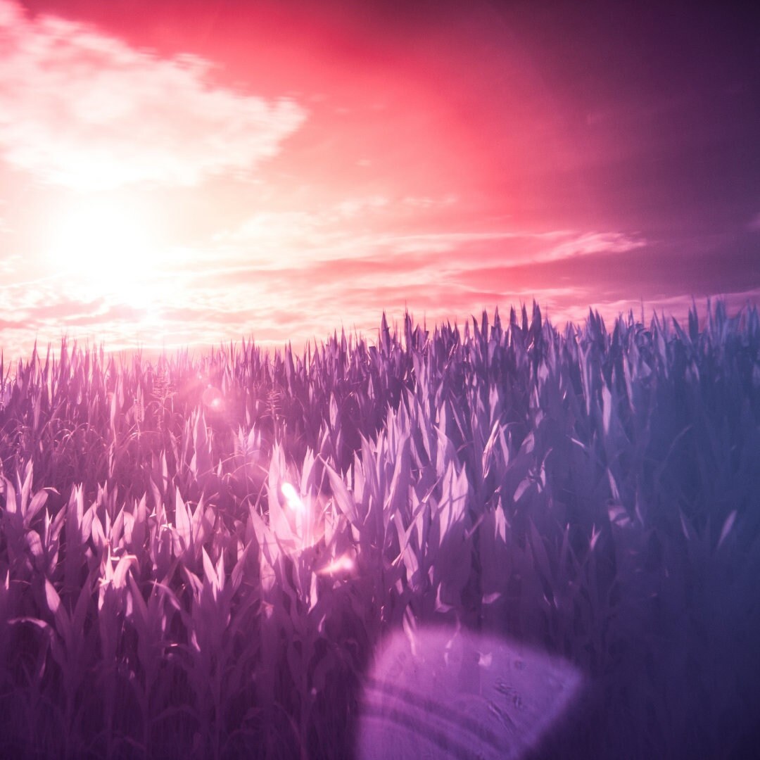 Interprétation Des Rêves