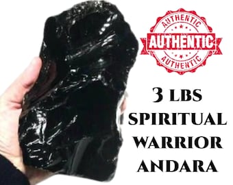 Andara Crystal Black Andara XL Mt Shasta Andara Raw Crystal Protection Shadow Work Spiritual Gift #578