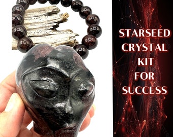 SET REGALO DI CRISTALLO per Starseed. Braccialetto di cristallo granato con teschio alieno e cristallo granato, regalo per lei, regalo per lui. Negozio di cristalli n. 570