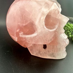 Rose Quartz Crystal Skull 2.6 lb – Encoded at Archangel Michael Vortex for Self Love and Heart Chakra #357