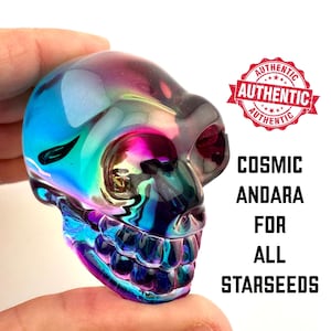 Andara Crystal Skull with Certificate Real Mt Shasta Andara Authentic Crystal Skull for Starseeds Spiritual Healing and Meditation Tool 317B