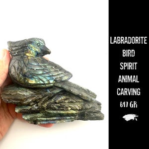 ラブラドライト 鳥の彫刻 フラッシュ ラブラドライト 手彫り クリスタル 彫刻 自由/直感力を高めるトーテム/スピリット アニマル #635