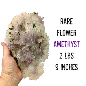 XL Amethyst Crystal. Large Raw Crystal. 2 lbs. Clears Negativity in Spaces.Gift for Her GIft for Him High Bibration Crystal #488