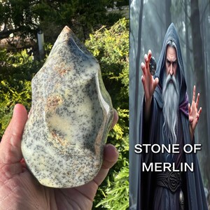 May include: A polished, flame-shaped dendritic opal stone featuring a creamy off-white base with intricate, dark, fern-like branching inclusions throughout. Beside it, a digital illustration depicts a wizard with the text STONE OF MERLIN.