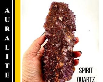 Auralite  23 Crystal Amethyst Spirit Quartz from Thunder Bay 1.5 lb Rare Healing Stone#400