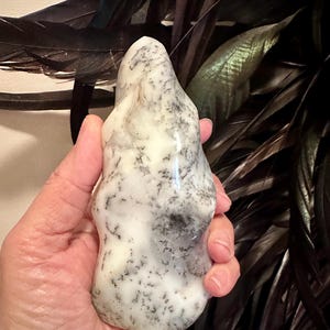 May include: A polished, flame-shaped dendrite opal stone featuring a creamy white base color with intricate, dark grey to black fern-like branching inclusions spread across its smooth, organic surface, showcasing natural mineral patterns.