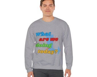 Mathelehrer Grafik Sweatshirt - was machen wir heute?