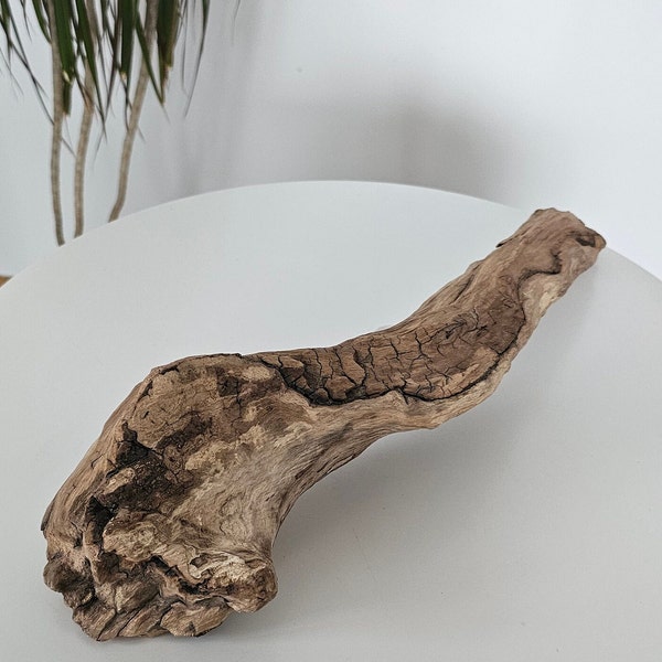 Treibholz Skulptur | Schwemmholz | Treibholzstück | Aquarium Treibholz | Terrariendekor Reptil | Naturmaterial basteln | Feengartenkunst