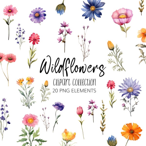 Clipart de fleurs sauvages aquarelle - PNG - téléchargement immédiat