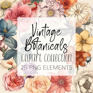 Vintage Botanical Clipart - Floral Clipart Set - PNG - Instant download