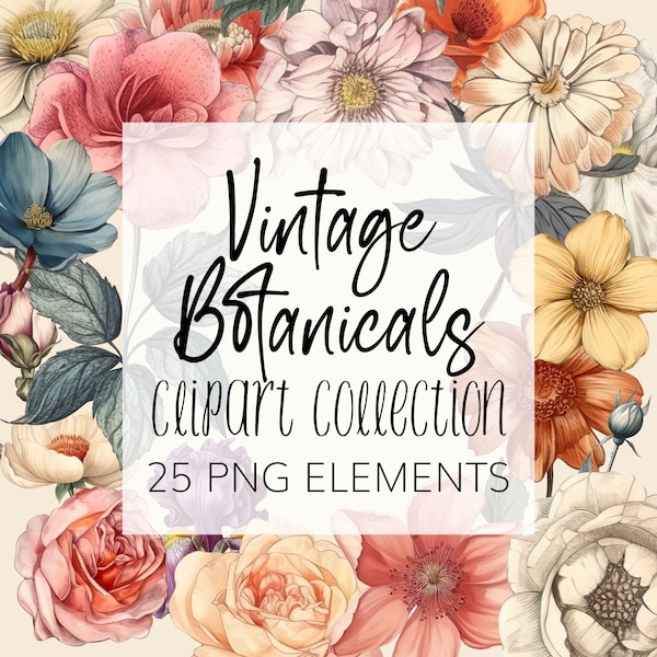 Vintage Botanical Clipart - Floral Clipart Set - PNG - Instant download