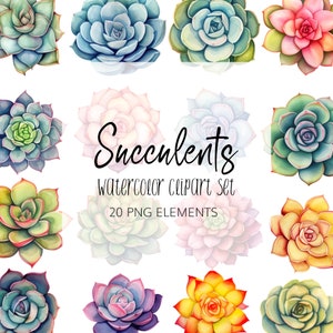Watercolor Succulent Clipart Set - PNG - Instant download