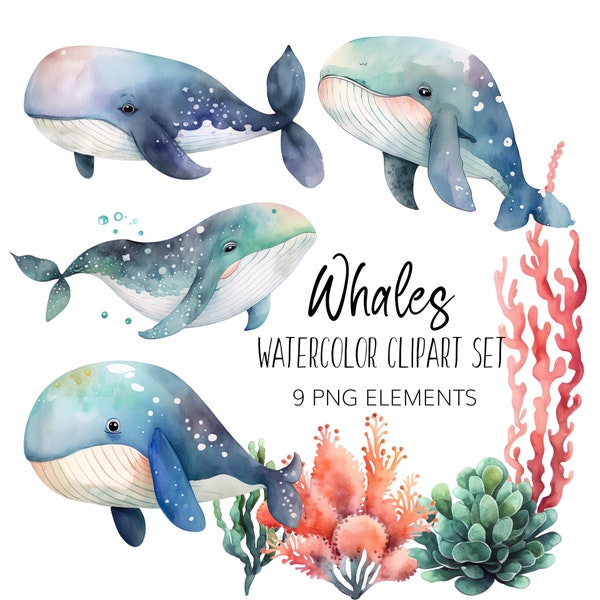 Watercolor Whale Clipart - PNG - Instant download