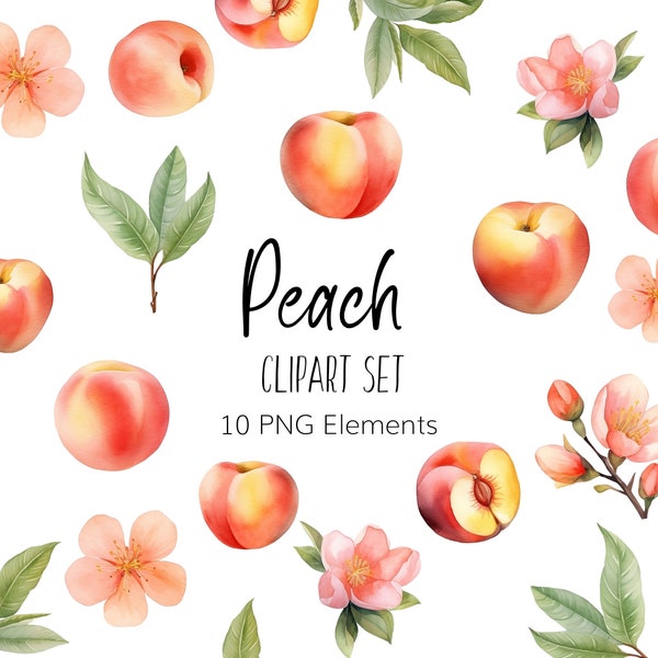 Watercolor Peach Clipart - PNG - Instant download