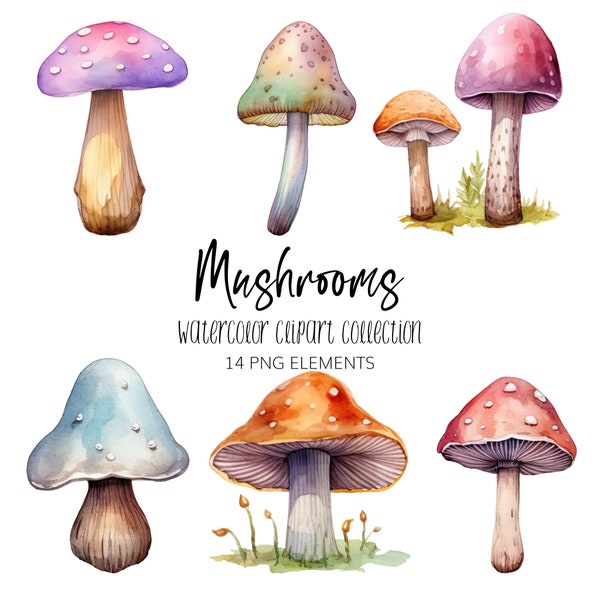 Champignon aquarelle Clipart ensemble - PNG - téléchargement immédiat