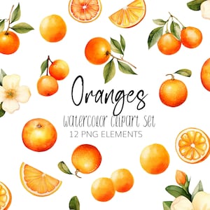 Aquarel oranje clipart - png - direct downloaden